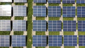Sustainability Services